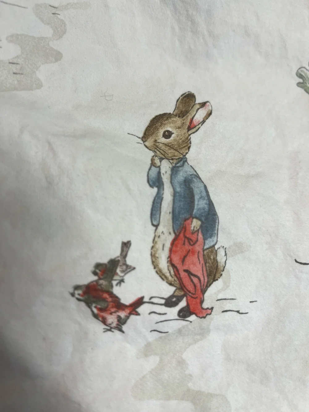 Pottery Barn Kids Peter Rabbit Organic Crib 0487 Fitted Sheet Beatrix Potter